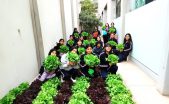 Agricultura escolar respaldada por ciencia: estudiantes analizan datos meteorológicos de NASA