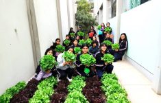 Agricultura escolar respaldada por ciencia: estudiantes analizan datos meteorológicos de NASA