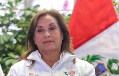 Dina Boluarte Zegarra fue vacada