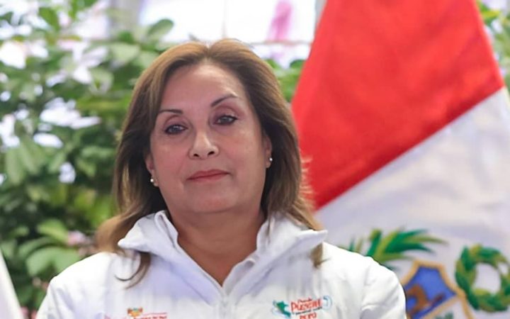 Dina Boluarte Zegarra fue vacada