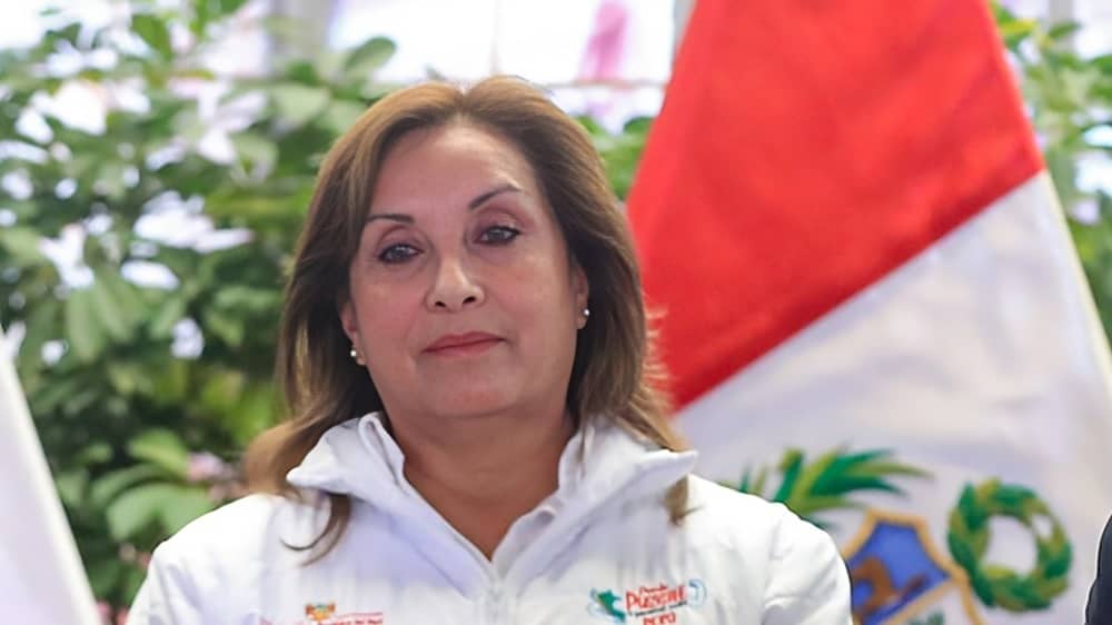 Dina Boluarte Zegarra fue vacada